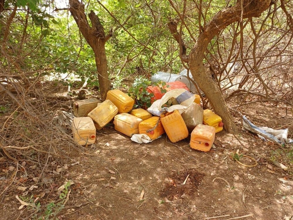 Illustration — Mali : 35 forêts placées sous contrôle militaire, Bamako militarise la nature