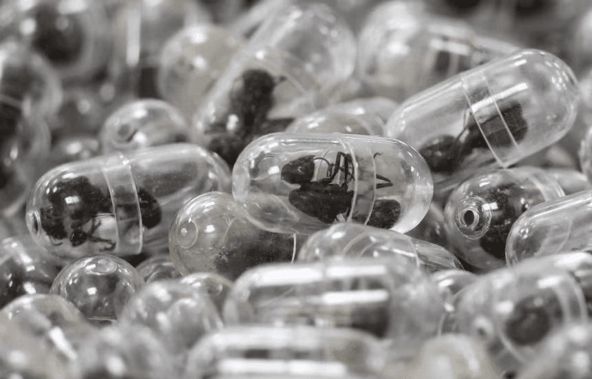 Illustration — 2 200 fourmis dans une valise, une fuite avec un faux passeport, 1 an de prison : l'histoire la plus folle de 2026 vient du Kenya