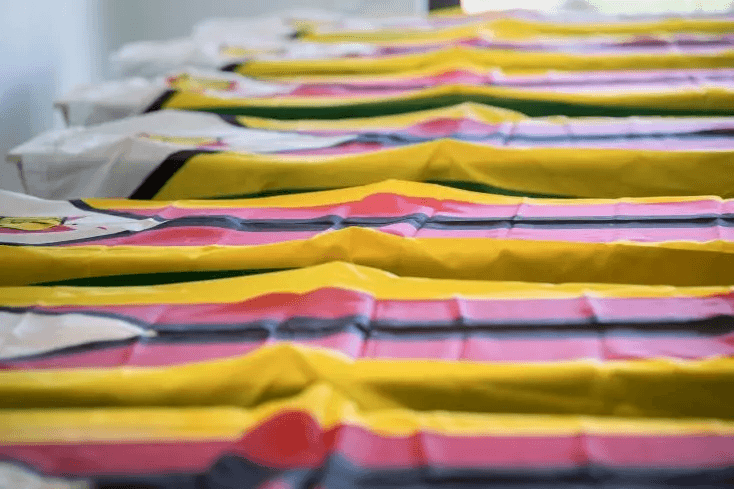 Illustration — Afrique du Sud rend les restes humains du Zimbabwe : 116 ans dans un tiroir de musée, retour à la terre des ancêtres