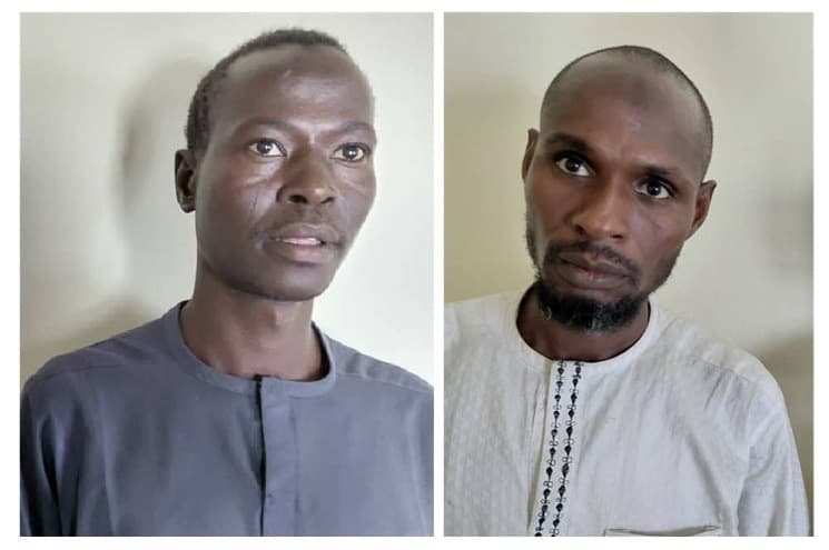 Illustration — Nigeria : deux commandants de l'ISWAP se rendent à l'armée dans l'État de Borno